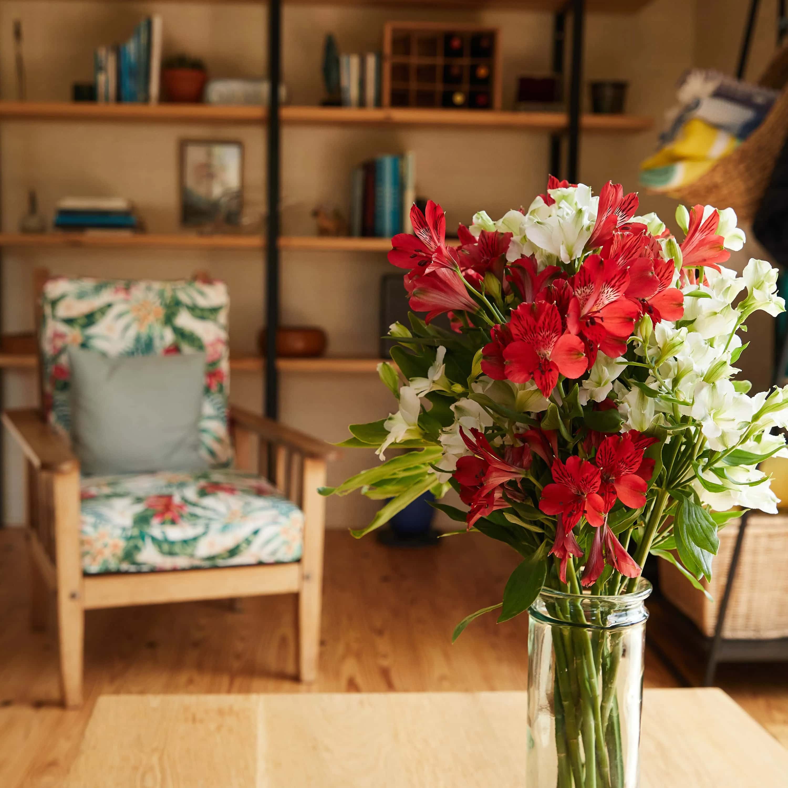 Νιώστε την ηρεμιστική επίδραση των φυτών και λουλουδιών στην καρδιά του σπιτιού ή του γραφείου σας.