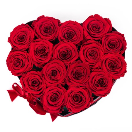 Heart XL