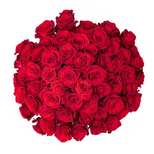100 Red Roses In A Vase