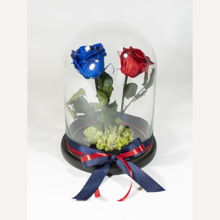 Beauty And The Beast Red And Blue