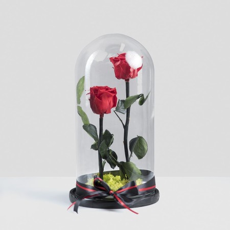 Beauty And The Beast Red