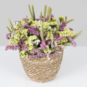 Basket With Amaranths