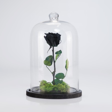 Forever Black