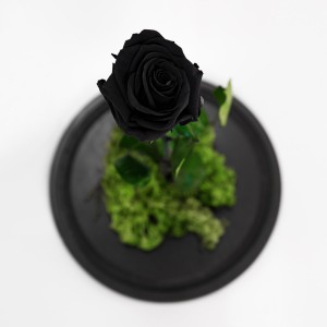 Forever Black