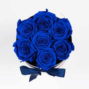 Forever Roses With Blue Roses In Beige Velvet Box