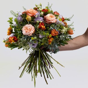 Orange And Lilac