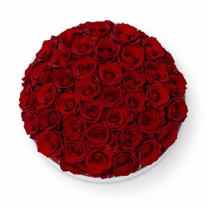 Ruby Eternity